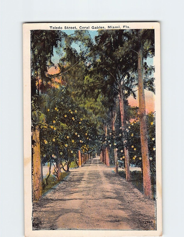 Postcard Toledo Street Coral Gables Florida USA