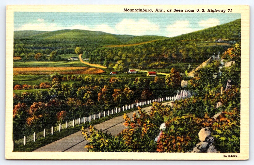 Vintage Postcard Old Outdoor Antique Image Highway Road Trees Arkansas Usa