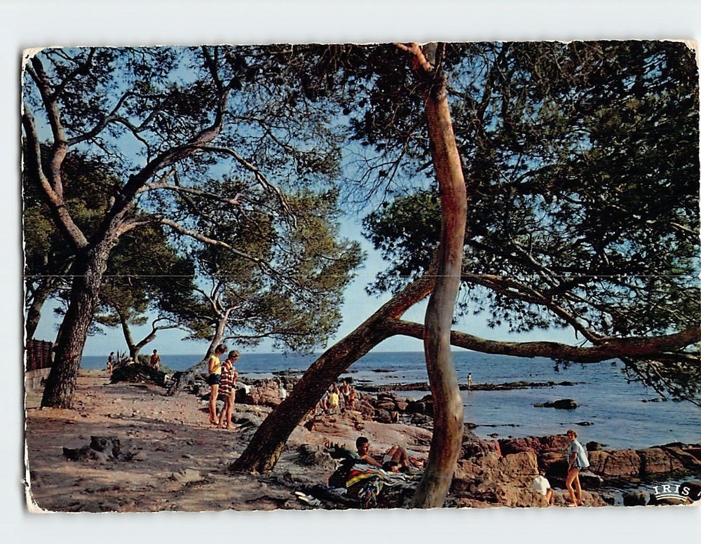 Postcard Rochers Et Pinedes Reflets De La Cote d Azur France