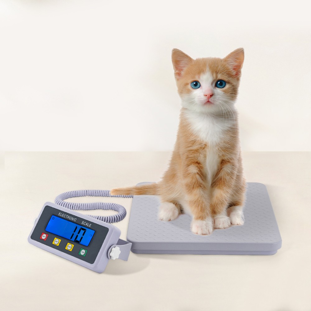 Medical Grade Floor Scale Digital LCD Display Slimline Scale Pet Weight Scale