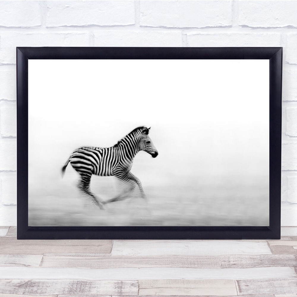 Zebra Run Wildlife Animals Africa Safari Animal art Running Wall Print