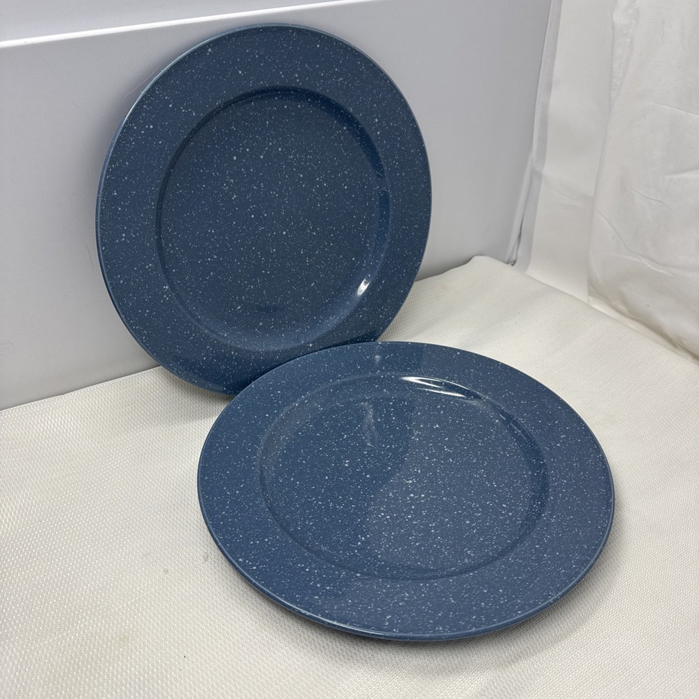 Mikasa Ultrastone Dinner Plates (2 Qty) Country Blue CU501 Vtg