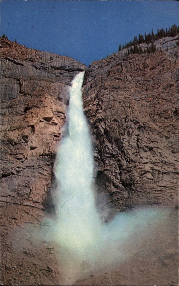 Field British Columbia Canada Yoho Natl Park Takakkaw Falls vintage postcard