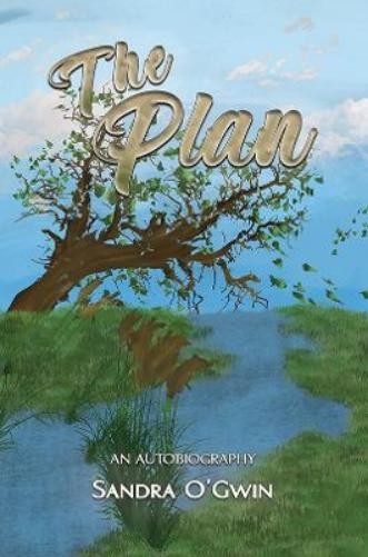 Sandra O'Gwin The Plan (Paperback)Another great item from Rarewaves USA | Free delivery!