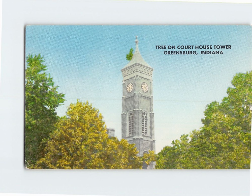 Postcard Tree On Court House Tower Greensburg Indiana USA