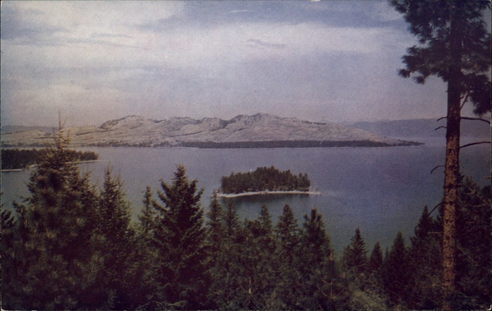 Montana Dream Island Flathead Lake ~ 1950s-60s postcard sku853