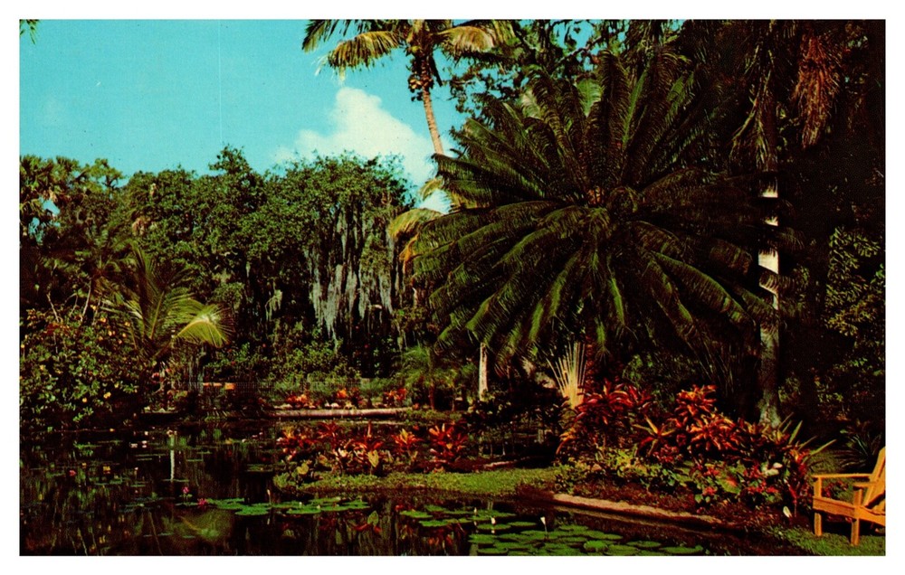 Vero Beach FL Florida Tropical Beauty at McKee Jungle Gardens Chrome Postcard