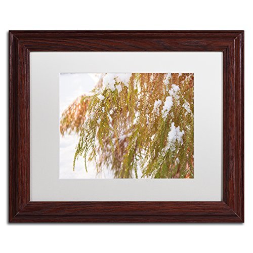 Winter on Redwood Wall Decor by Kurt Shaffer, 11