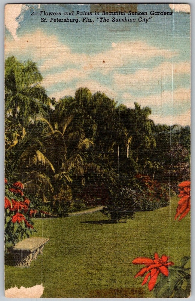 Vtg Linen Postcard Turner's Sunken Gardens St Petersburg, FL 1940s