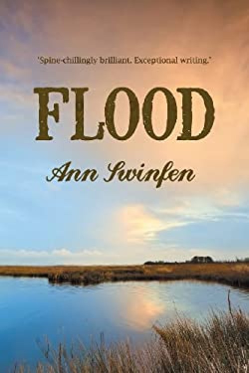 Flood Paperback Ann SwinfenFree US Delivery | ISBN:0992822807