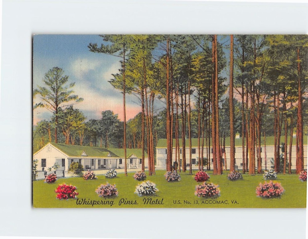 Postcard Whispering Pines Motel Accomac Virginia USA