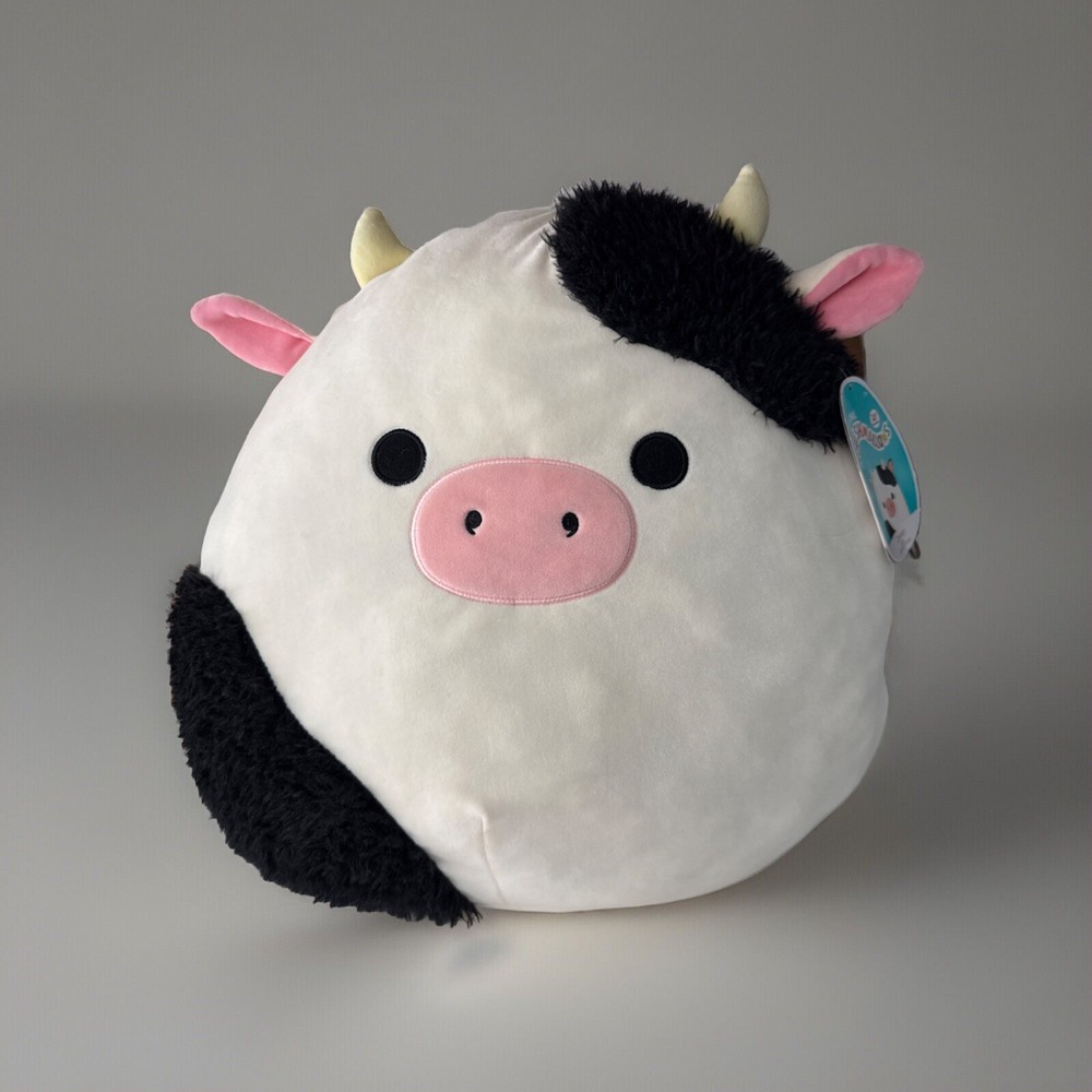 Squishmallows 16