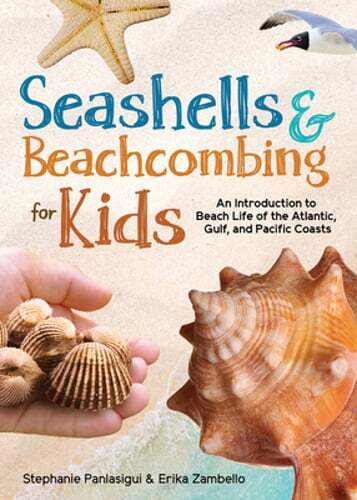 Seashells & Beachcombing for Kids: An Introduction to Beach Life of the Atlantic