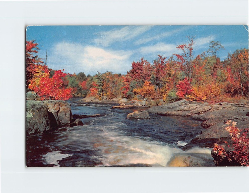 Postcard Autumn River Nature Scene