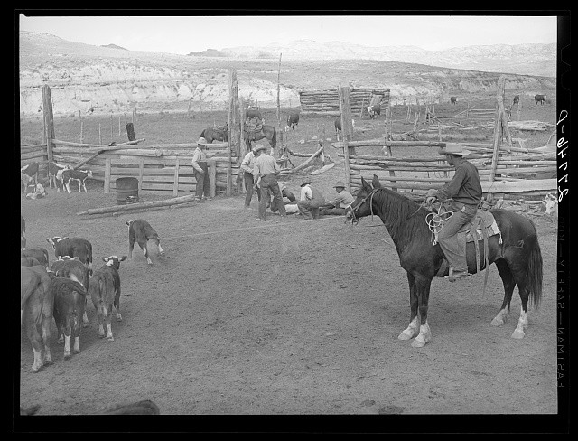 Photo:Custer County Montana 1939 William Tonn Ranch Branding Cowboys