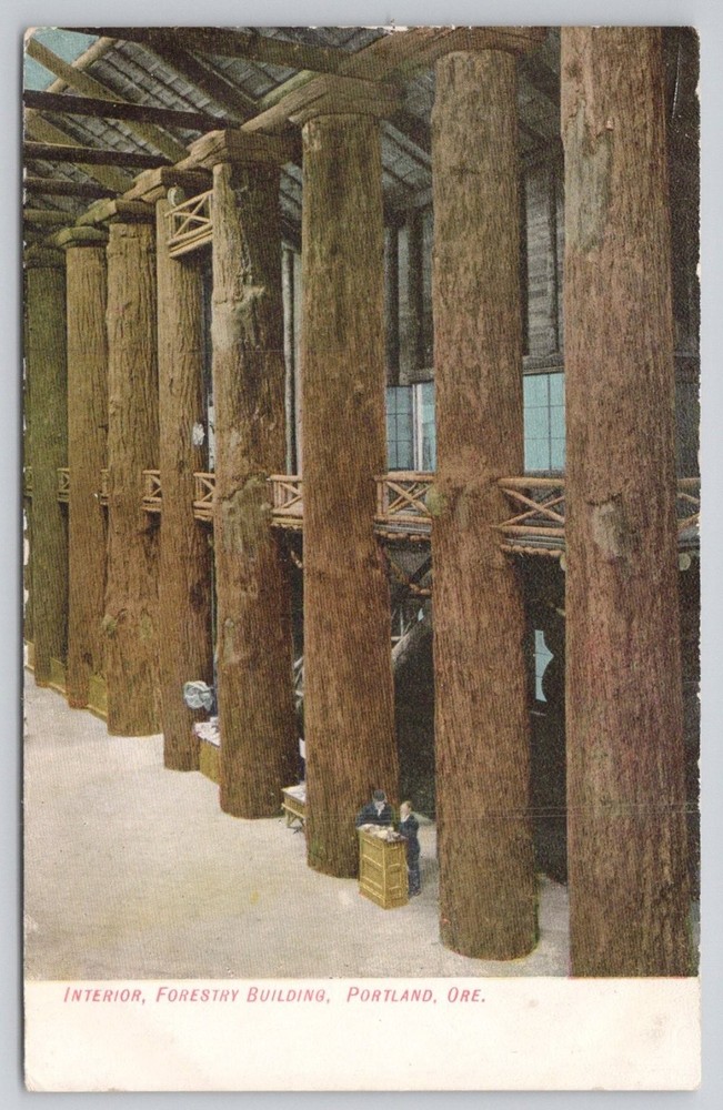 Portland OR Forestry Building Interior Postcard - Giant Tree Columns