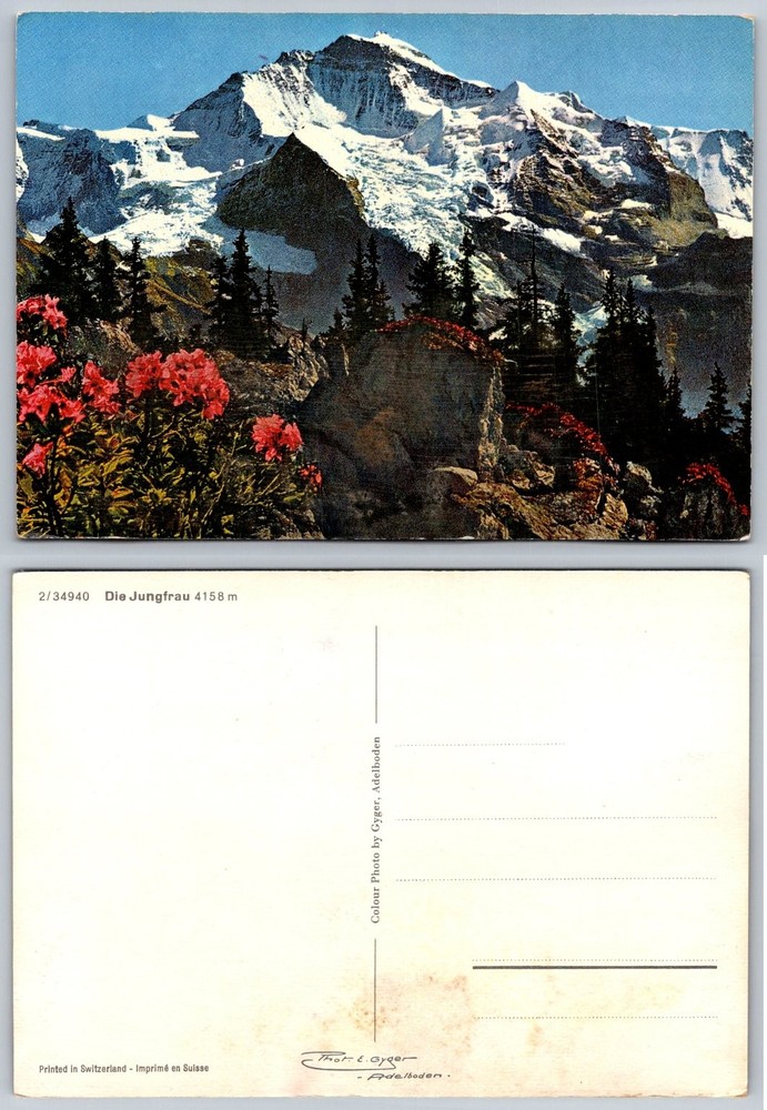 Vintage Jungfrau Switzerland Postcard Swiss Alps Mountains Rhododendron Gyger