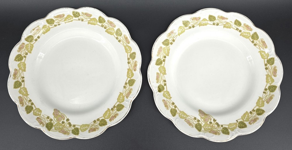 Set of 2 Johnson Brothers The Tuscany Salad Plates Green Pink Leaves Scallop