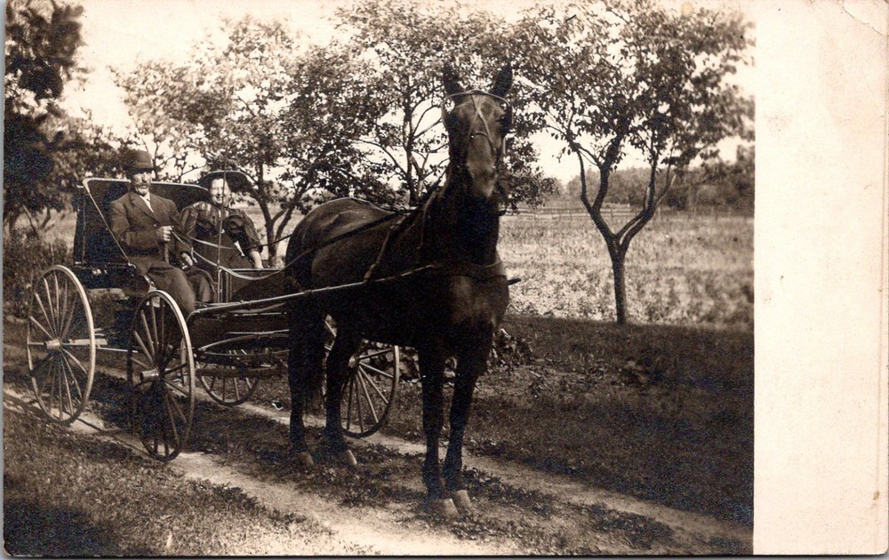 Man & Woman Horse Drawn Carriage Country Road 1904-1920's RPPC Postcard    30751