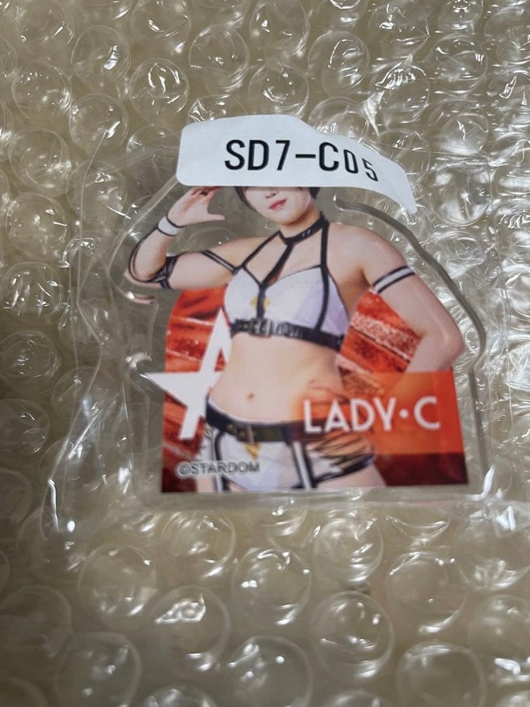 Lady C Stardom Webpon Acrylic Clip Unused Collectible Japan