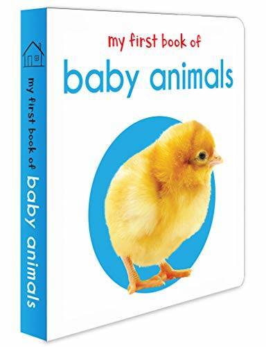 My First Book Of Baby Animals : First Board Book - Board book - GOOD