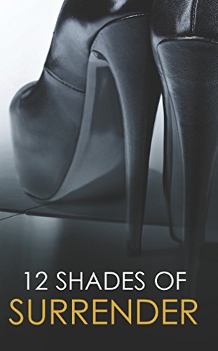 12 Shades of Surrender by Lisa Renee Jones