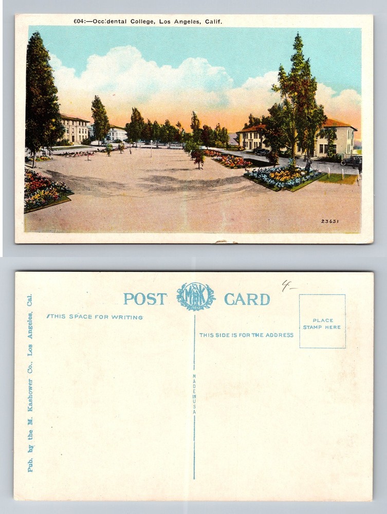 Los Angeles, CA-California, Occidental College Campus Lawn View Vintage Postcard
