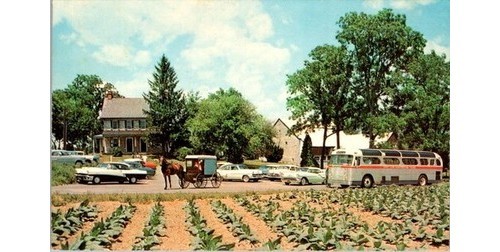 Lancaster PA Amish Farm/House Dexter Litho Postcard 1950s Scene Auto Buggy