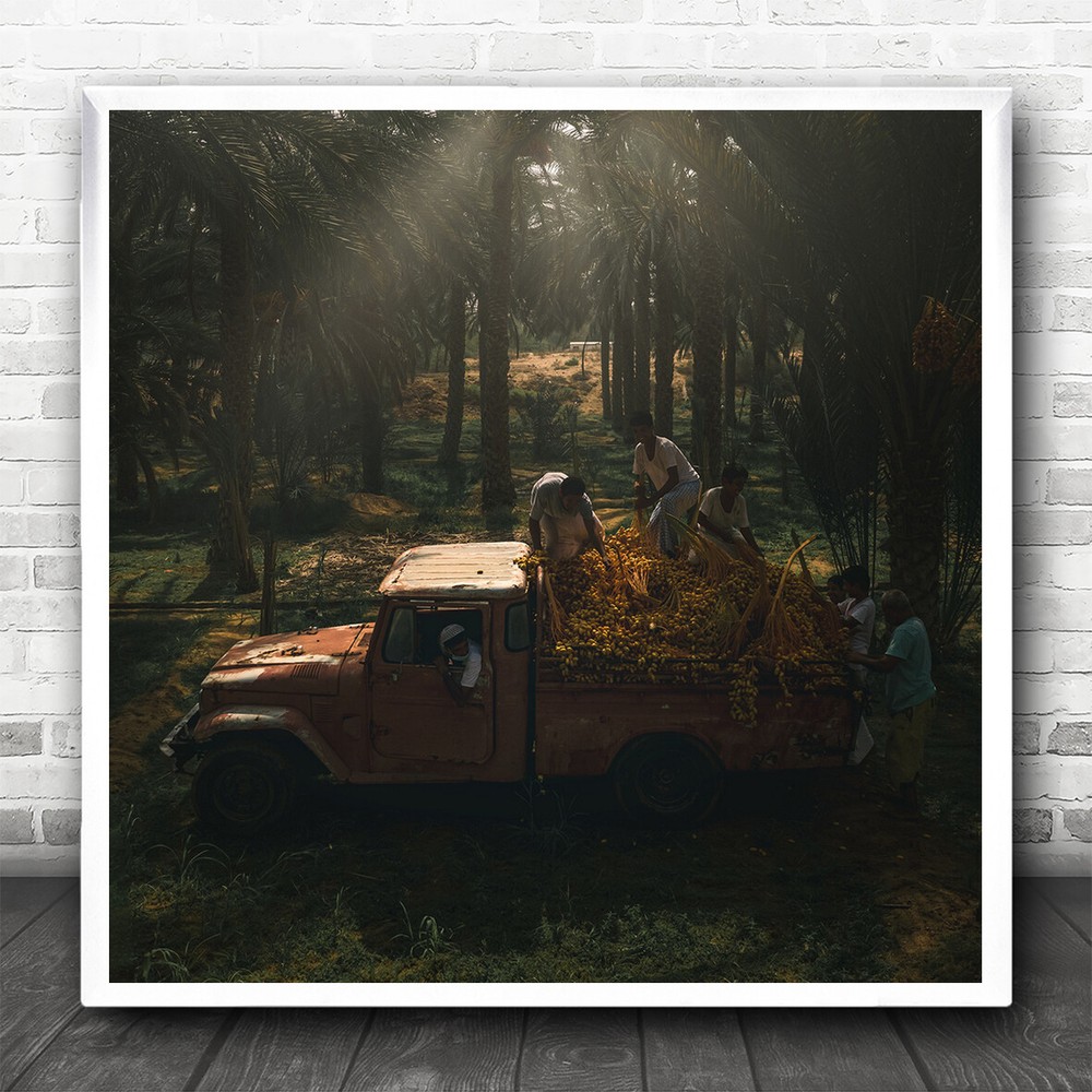Documentary Date Dates Trees Truck Car Trucks Transportation Square Art Print