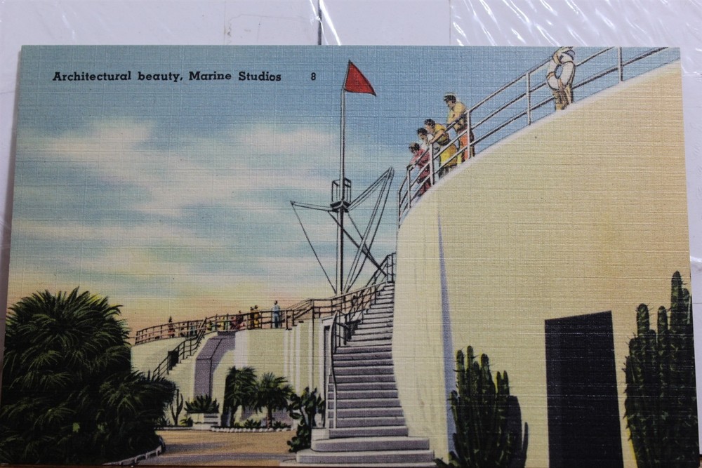Florida FL Marineland Marine Studios Postcard Old Vintage Card View Standard PC