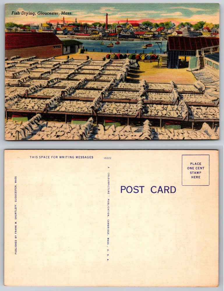 Fish Drying Gloucester Mass Harbor Postcard
