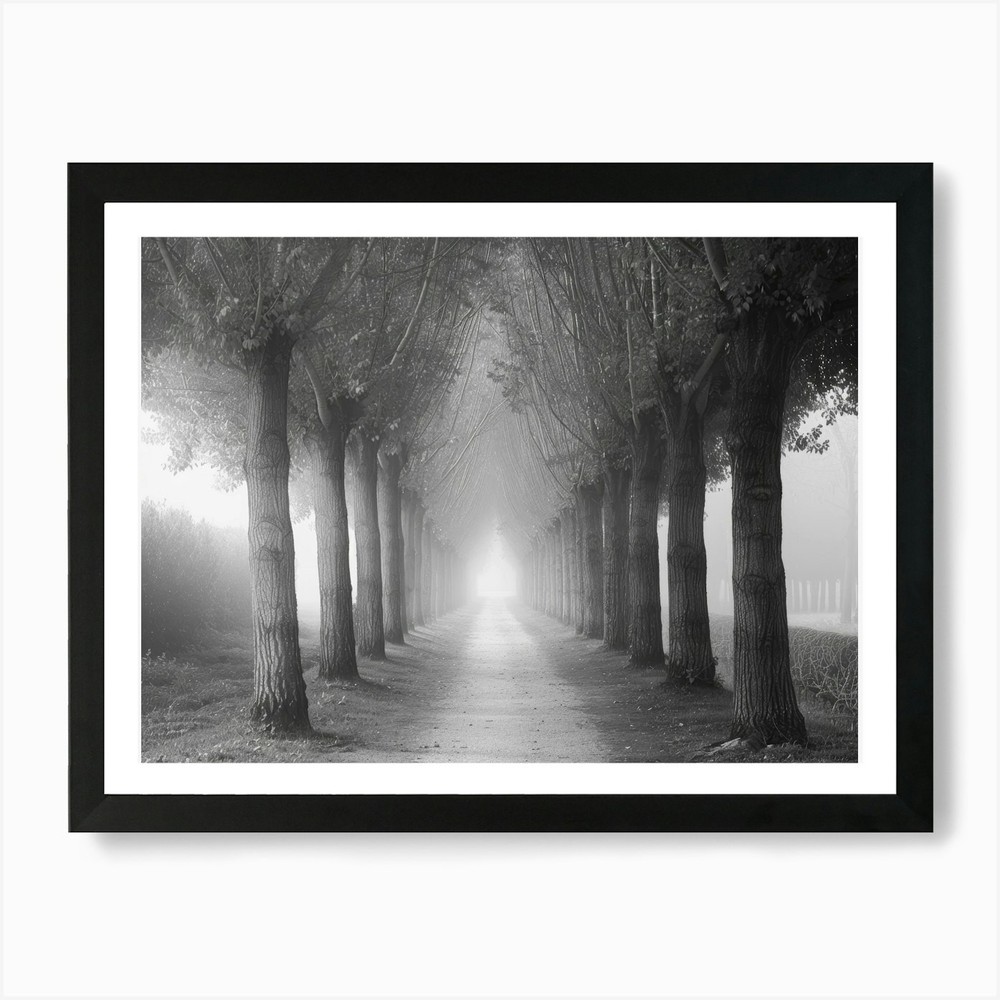 Framed Path Through The Trees 1 Art Print Canvas Wall Decor Poster Picture