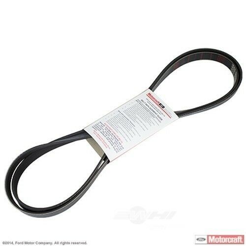 Serpentine Belt MOTORCRAFT JK6-926