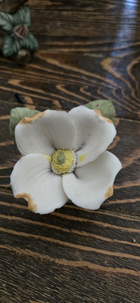 Napoleon Capodimonte Porcellane Dogwood Flower