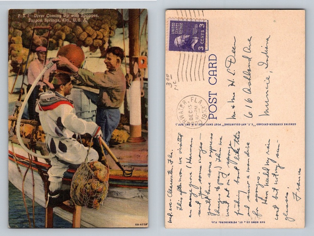 Tarpon Springs, FL-Florida, Diver Coming Up with Sponges Vintage c1953 Postcard