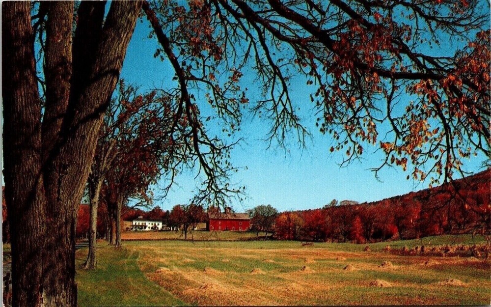 Country Scene Windham Catskill Mts New York NY Mountains Fall Autumn Postcard