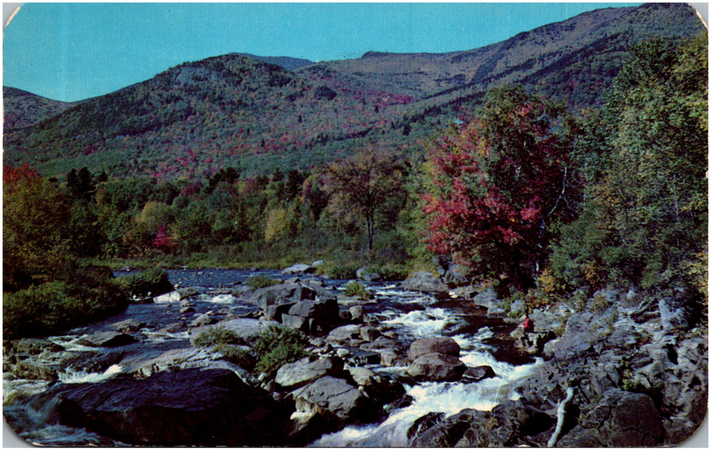 Greetings from Ellenville New York Trout Paradise Scene NY 1950s Chrome Postcard