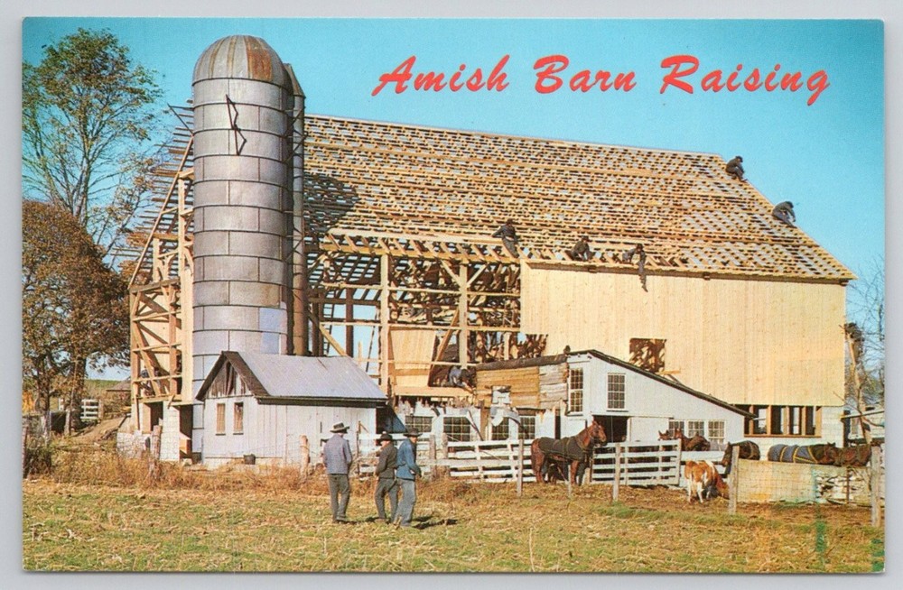 Amish Barn Raising Postcard - Lancaster, PA - Vintage Community Scene