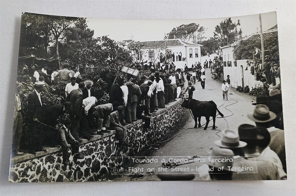Vintage Photo Postcard Bullfight In the Street Terceira Island Azores RPPC