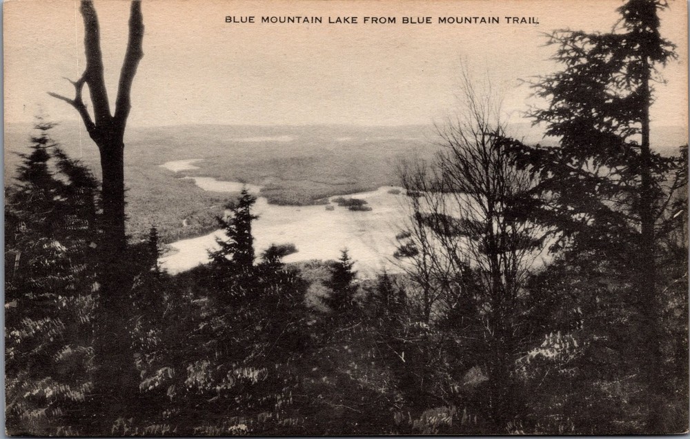 Vintage Blue Mountain Lake Adirondacks NY Scenic Postcard Artvue