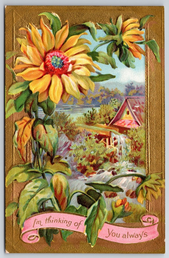 Sunflowers and Cottage 