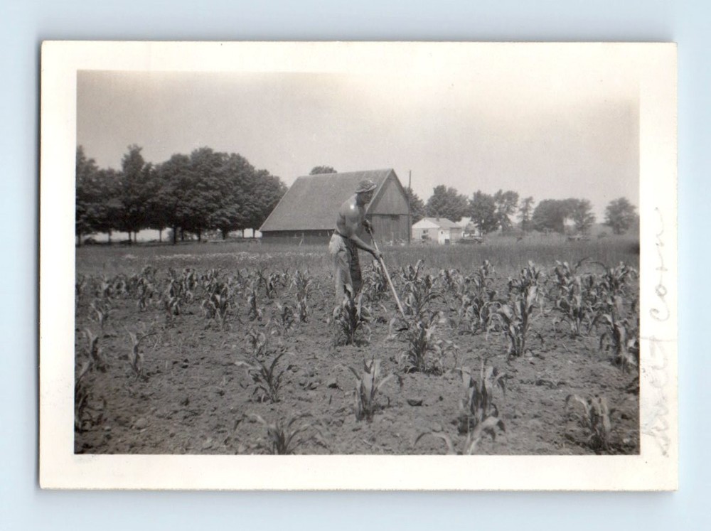 Old Vintage Photo SOLO SHIRTLESS MAN FARMER FIELD WITH HOE FARM BARN FARMING