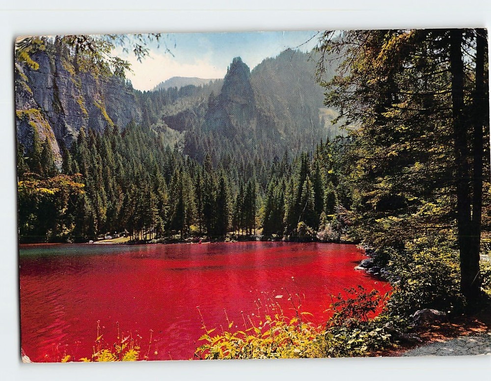 Postcard Lago Rosso Di Tovel Italy