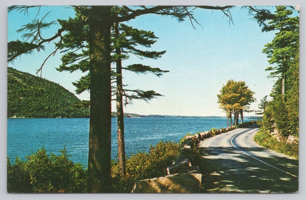 Vintage Acadia National Park Maine Ocean Drive Plastichrome Postcard-image