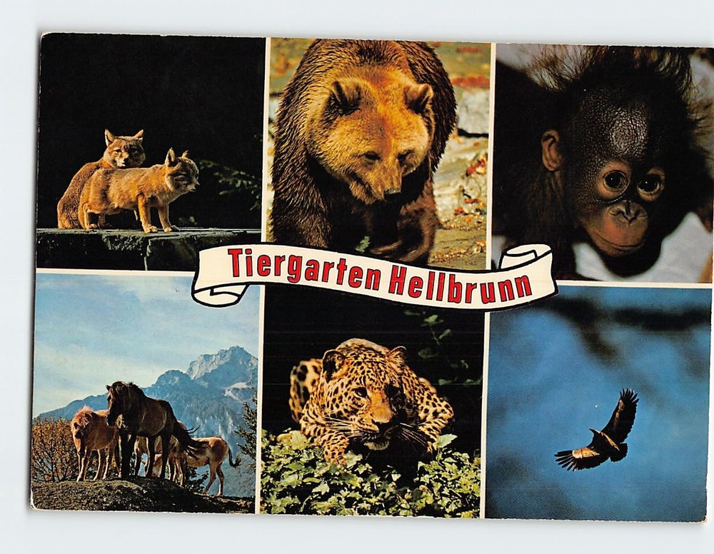 Postcard Animals in Hellbrunn Zoo in Salzburg Austria