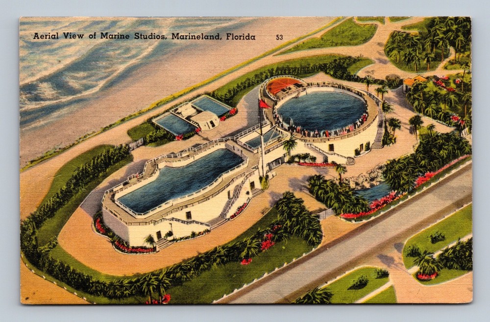 Vintage Aerial View Marine Studios Marineland Florida Postcard Tichnor