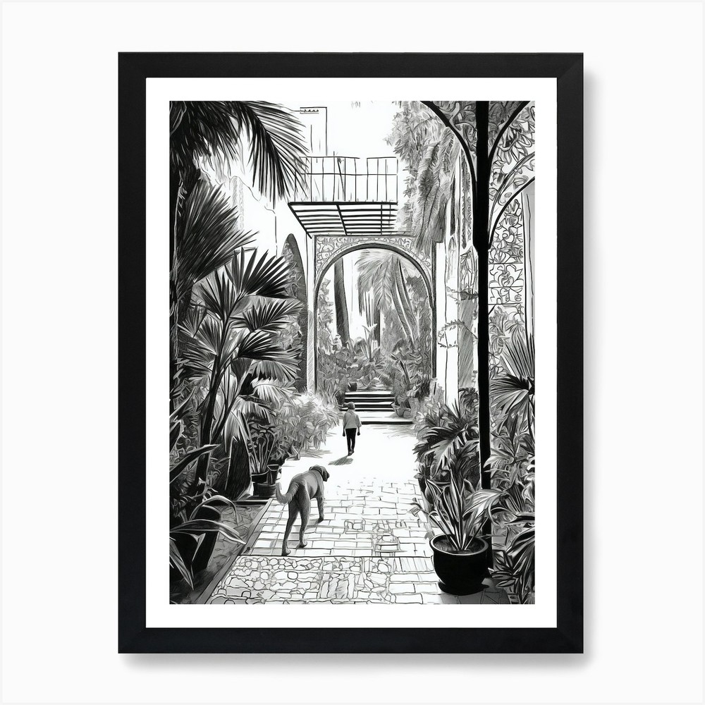 Drawing Of A Dog In Jardin Majorell Framed Wall Art Poster Canvas Print Picture