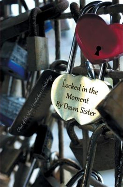 Locked in the Moment (Paperback or Softback)