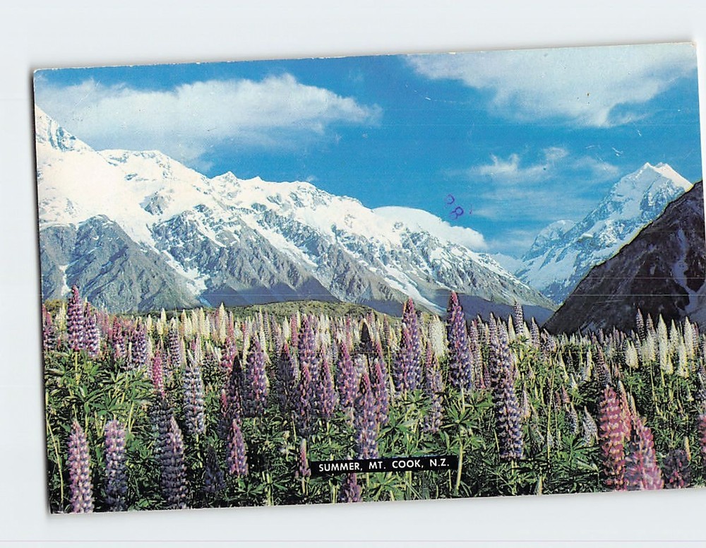 Postcard Summer Mount Cook New Zealand
