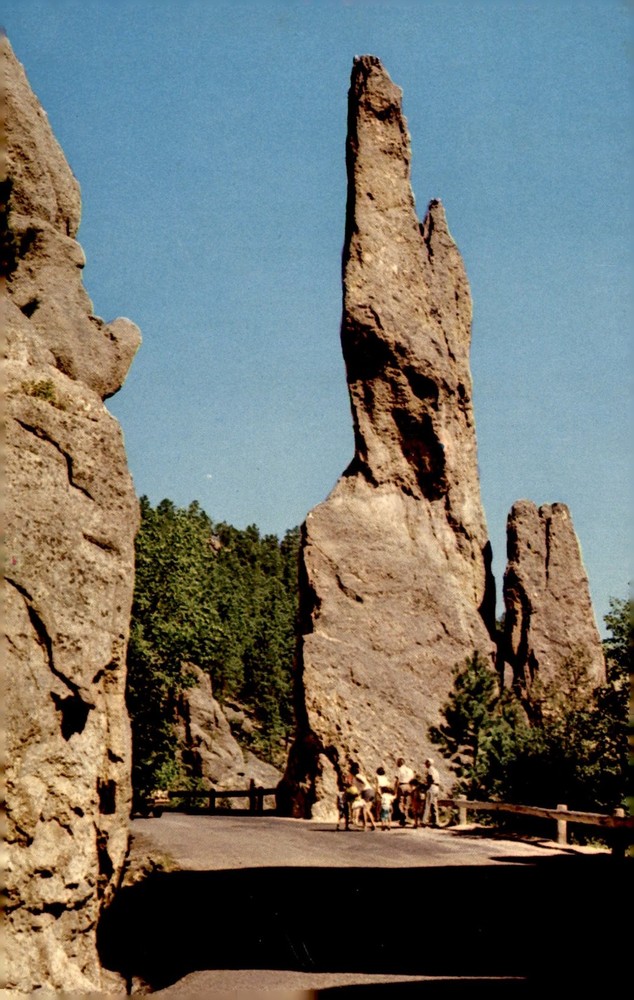 Scenic Needles Highway, Black Hills, South Dakota Postcard